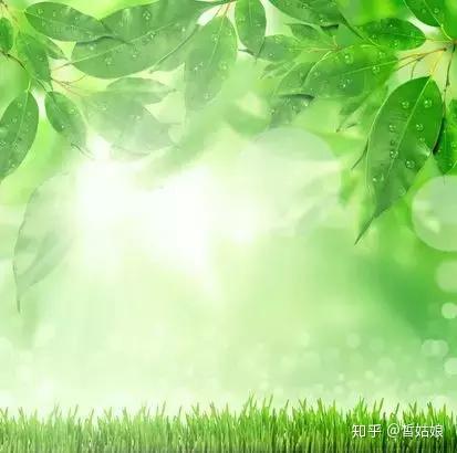 v2-3d0877a4c7e779417b6628adc7c0b082_b.jpg