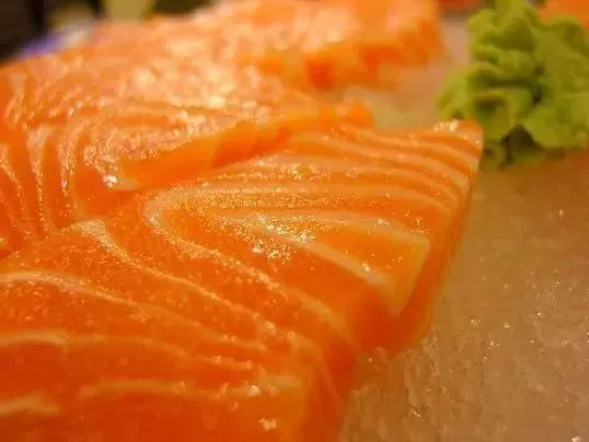 鱼肉属于高脂肪食物吗 v2-3d0afa6427c80a46d074dcd76d86bb26_r.jpg
