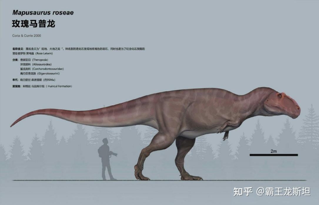 极限生物第二期最大的肉食恐龙霸王龙