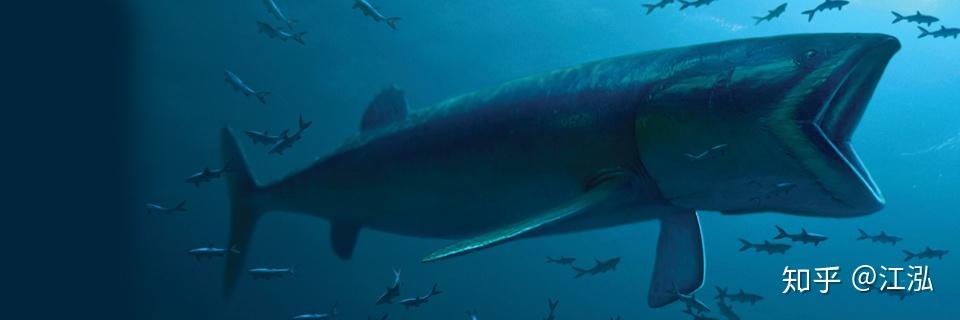 利兹鱼:侏罗纪的海中吸尘器