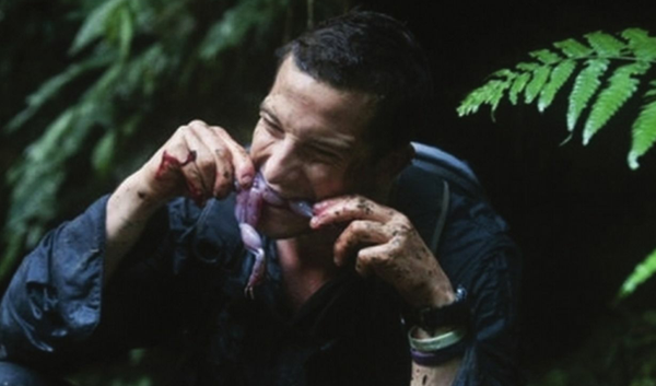 爆料 号称站在食物链顶端的贝爷 在野外吃 极品食物 不得病真相 贝爷吃东西不得病吗 帮果网