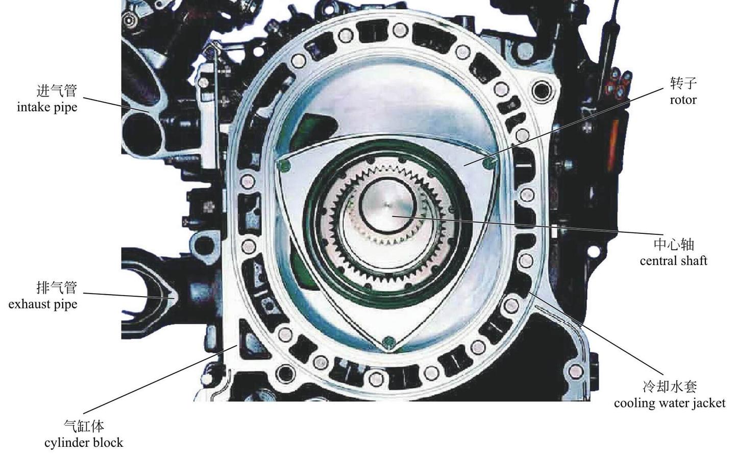 Rotary Engine