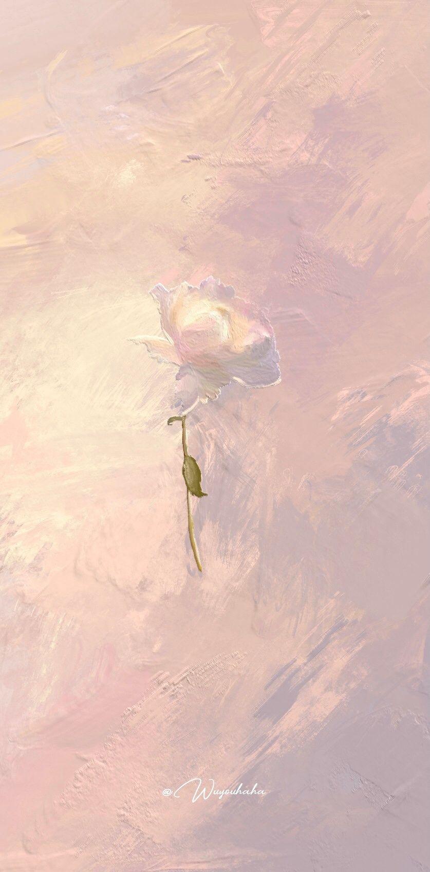 有没有绝美全屏壁纸?