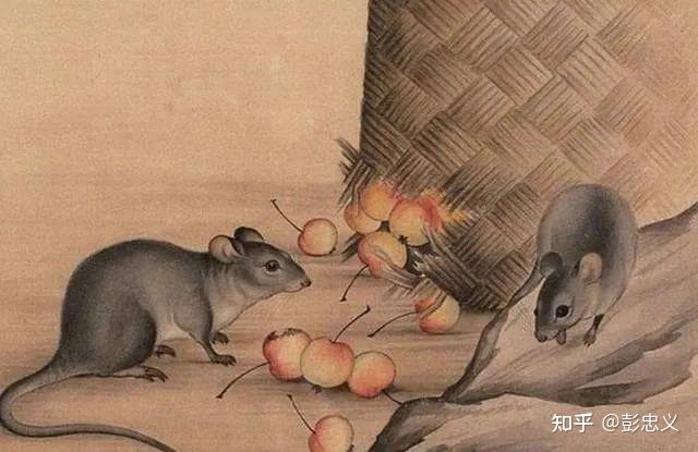 莫言悲剧告诉了我们太多——其赖以发家的“二流子”取向炫耀，则尤不可取！ - 知乎