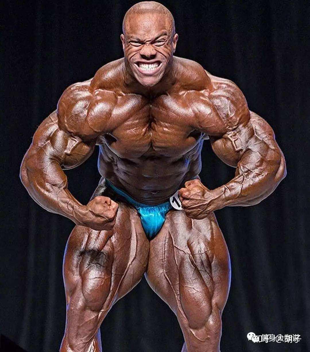 健体与健美的区别