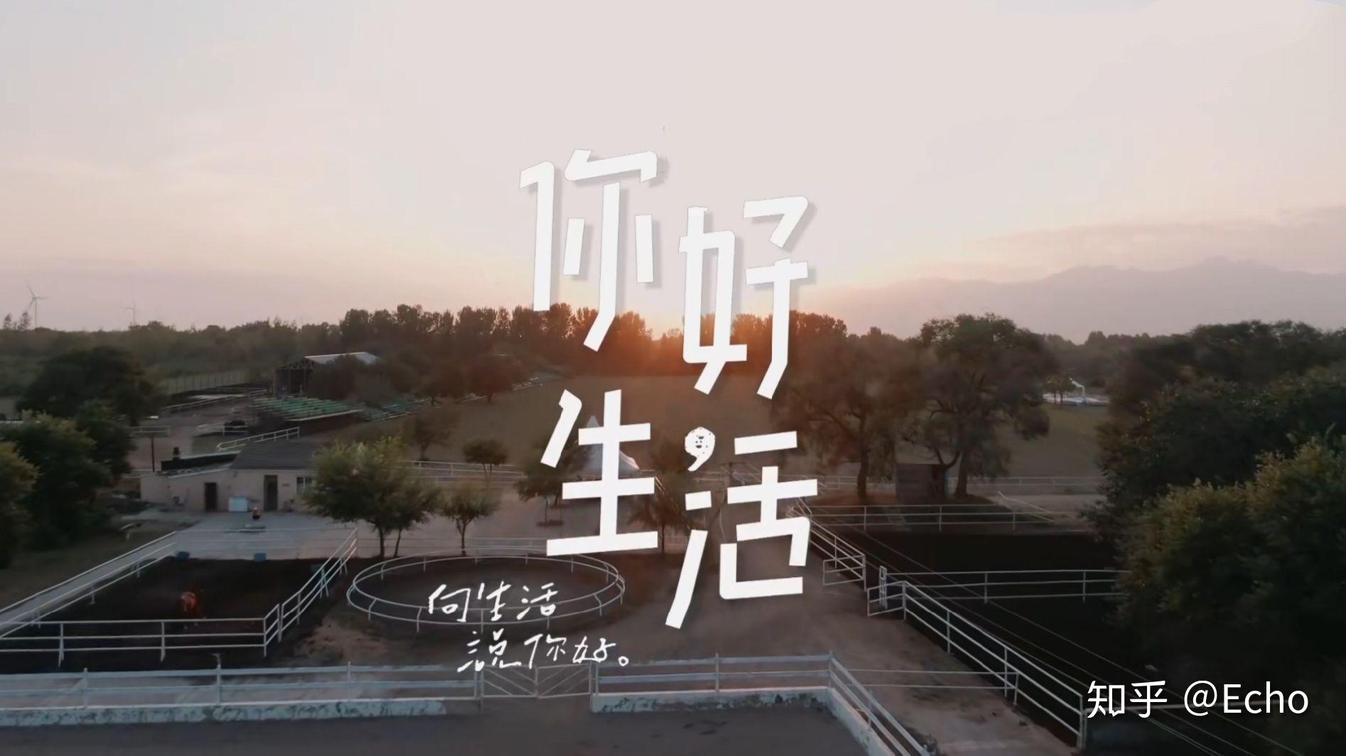 你好生活不仅仅是个节目