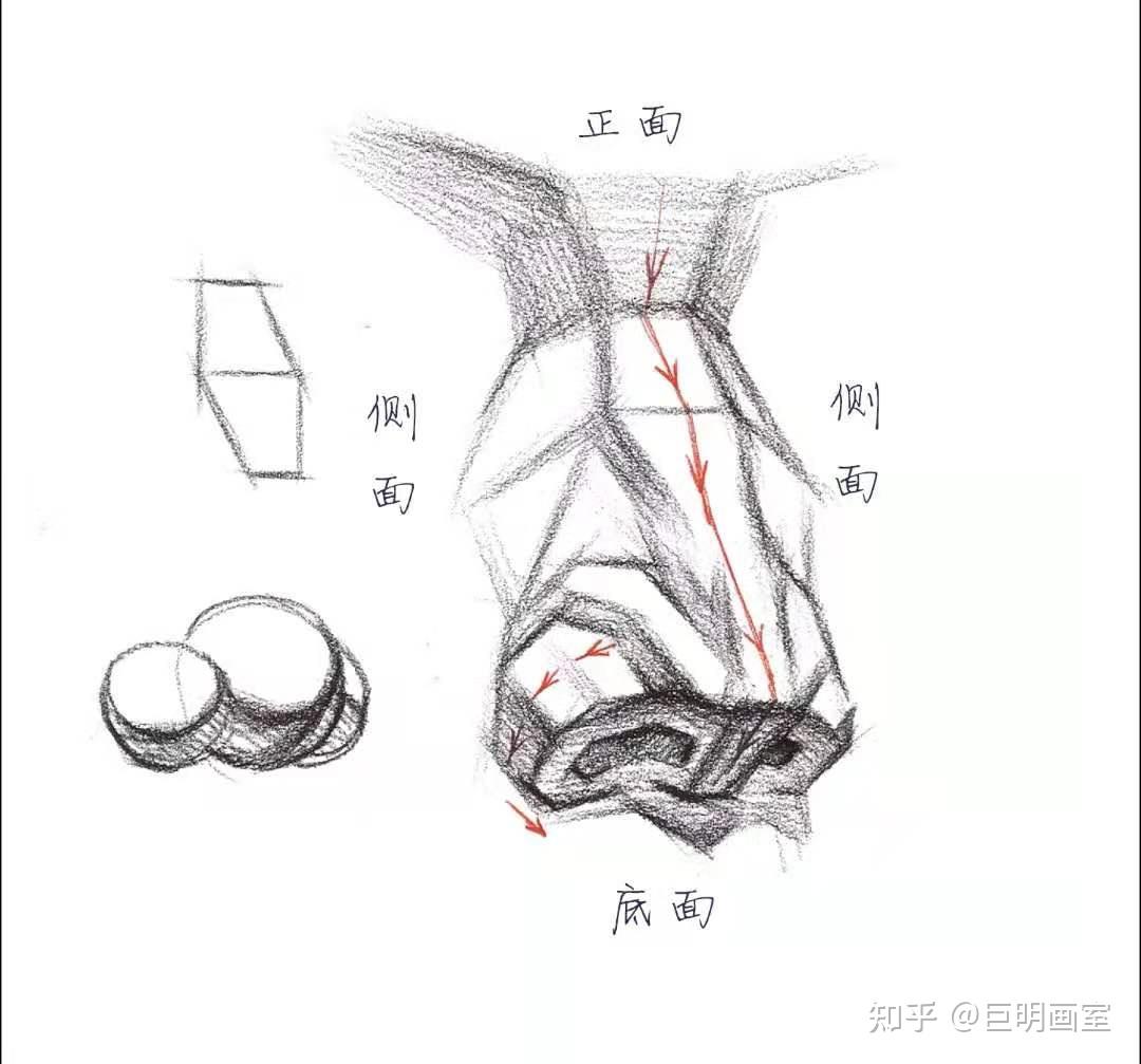 【头像知识】体块综合解析一 - 知乎