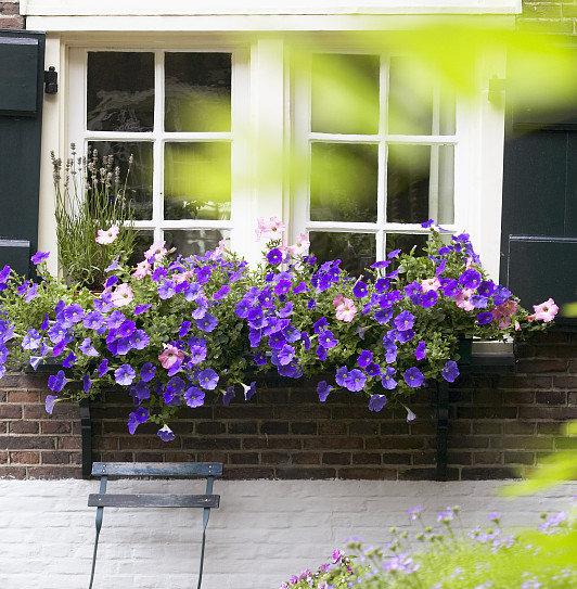 没有庭院不用遗憾窗台花园一样让你家美出天际线