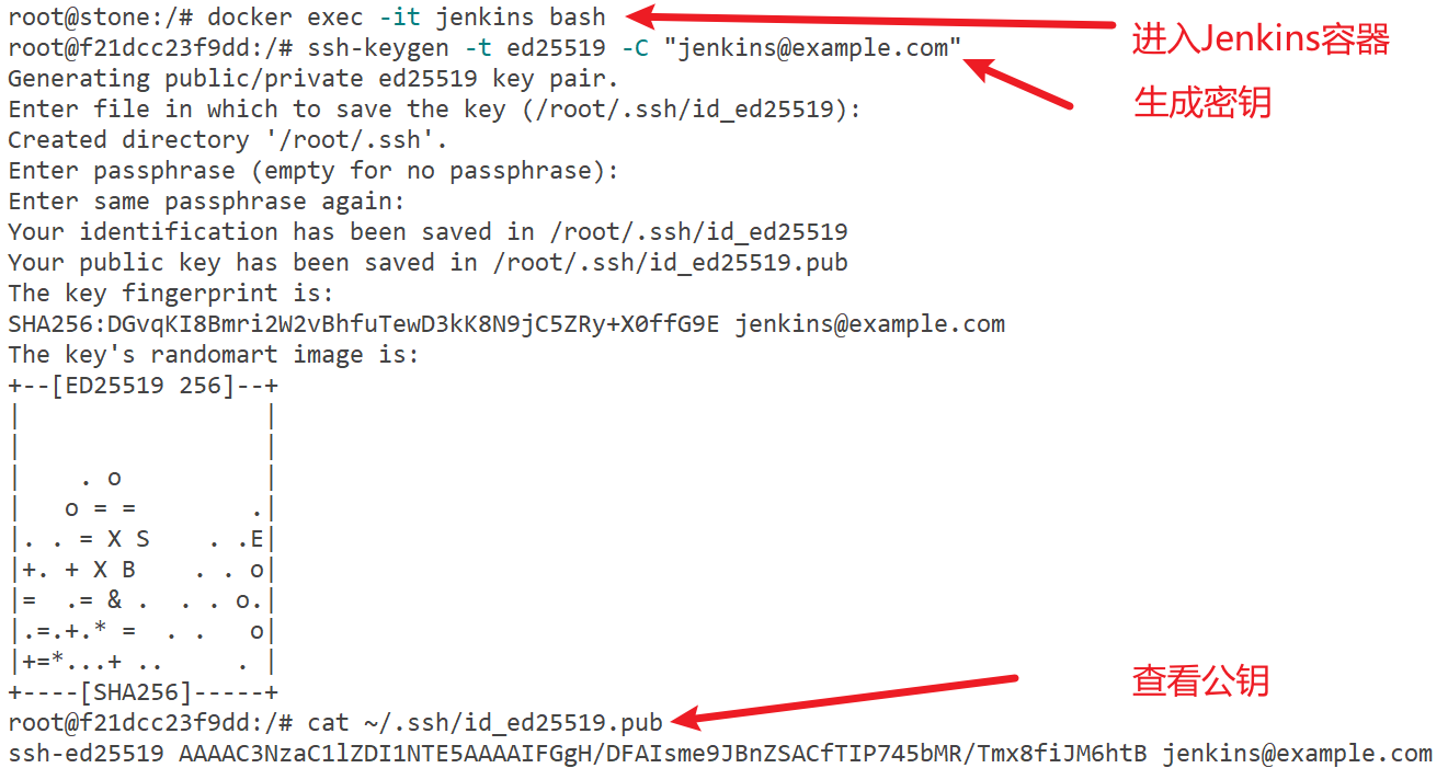 Docker Jenkins Gitee maven Docker jenkins gitee maven