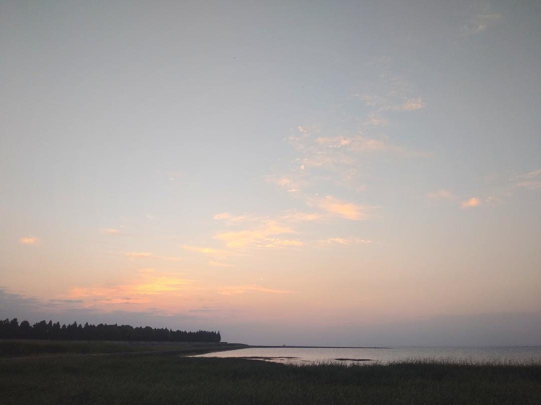 崇明岛|丁坝 超详细路线 《悲伤逆流成河》网红打卡点 - 知乎