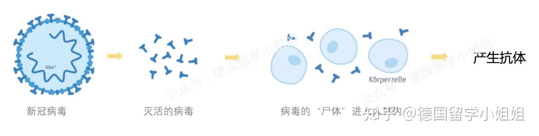 01 -新冠疫苗研发原理