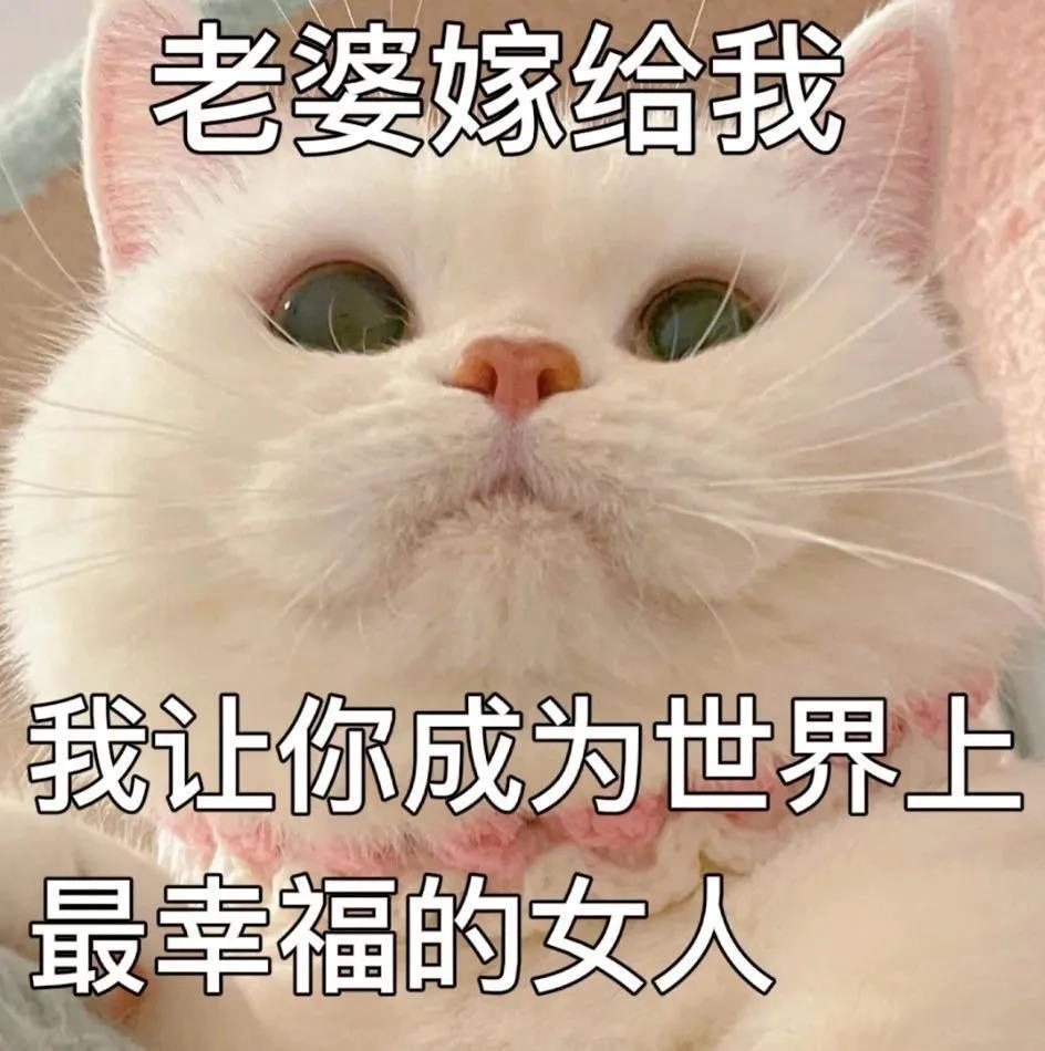 进入知乎