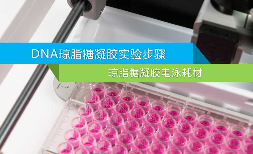 dna琼脂糖凝胶电泳实验步骤-琼脂糖凝胶电泳耗材 - 知乎