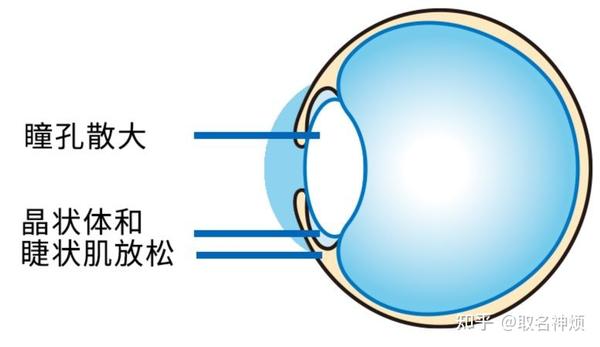 散瞳 - 知乎
