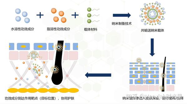 什么是纳米载体靶向传输技术