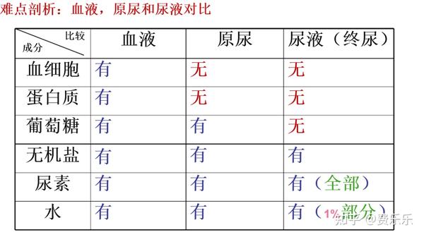 查中考地理生物成绩网站_中考地理查询生物成绩的网站_地理生物中考成绩查询