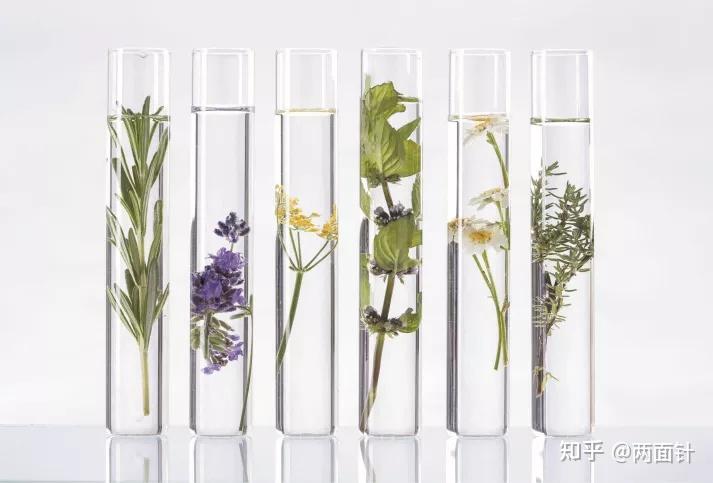 东方草本植物原生萃取自然纵享全新的植物草本洗护