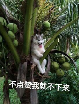 有没有一些以前从来不会听的类型的歌曲,但是