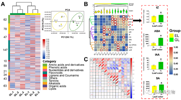 文献解读|转录组+翻译组+广靶代谢组梦幻联动揭秘茶树基因翻译图谱和代谢特征 - 知乎