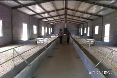 养羊学堂丨我想建个羊圈,怎么设计?一文说明白