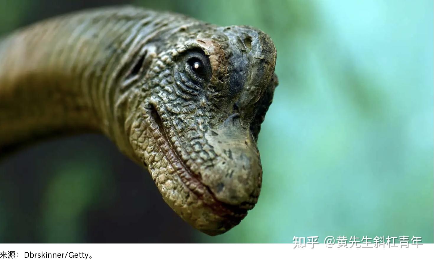 还原恐龙的皮肤