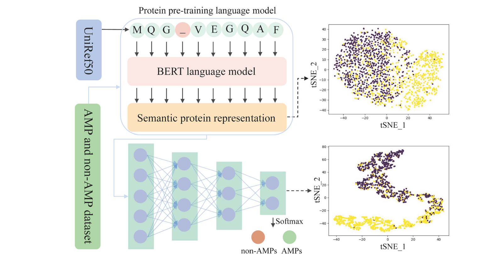 Designing antimicrobial peptides using deep learning and molecular ...