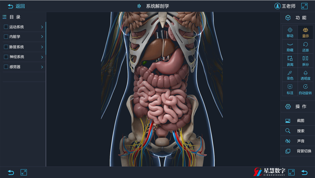 人体3d立体解剖软件 探索人体解剖教学的未来 知乎 