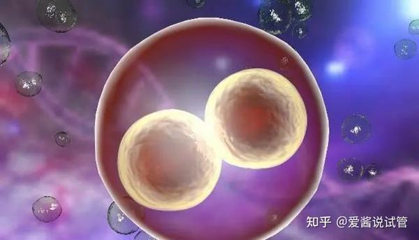 从同房到怀孕,精子和卵子都经历了什么? - 知乎