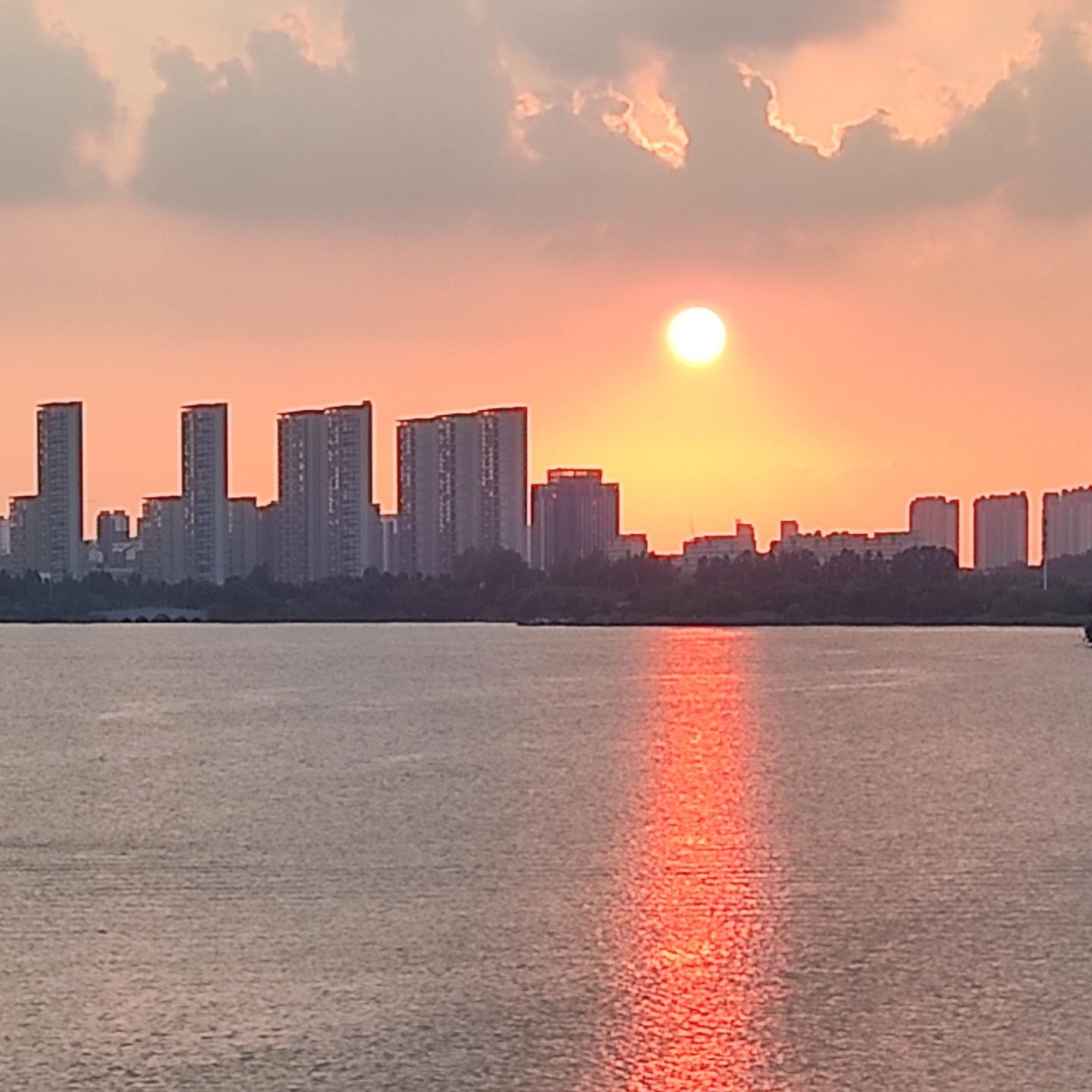 雄狐