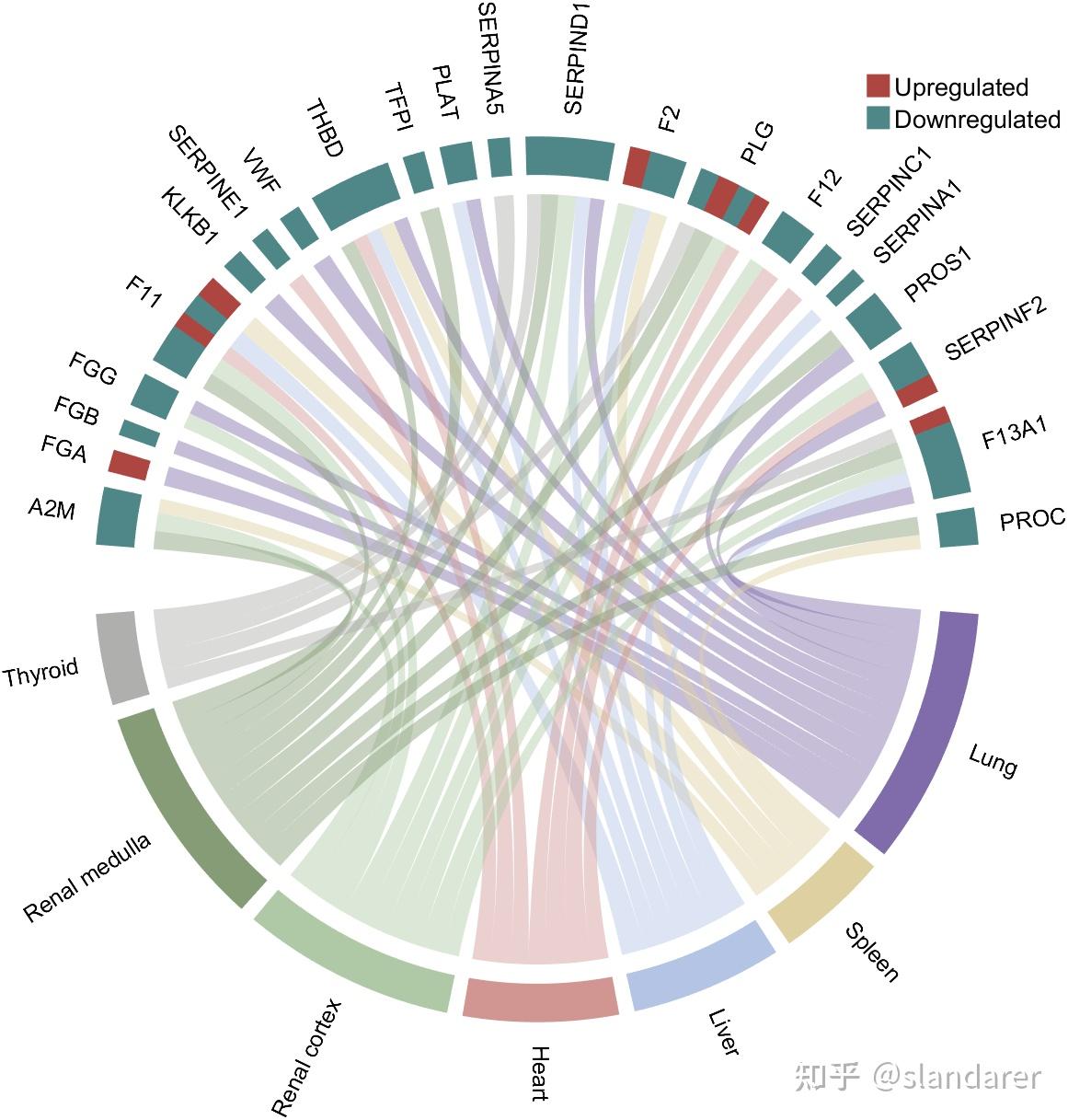 MATLAB | 这些美丽大方的弦图居然都是用MATLAB画的？ - 知乎
