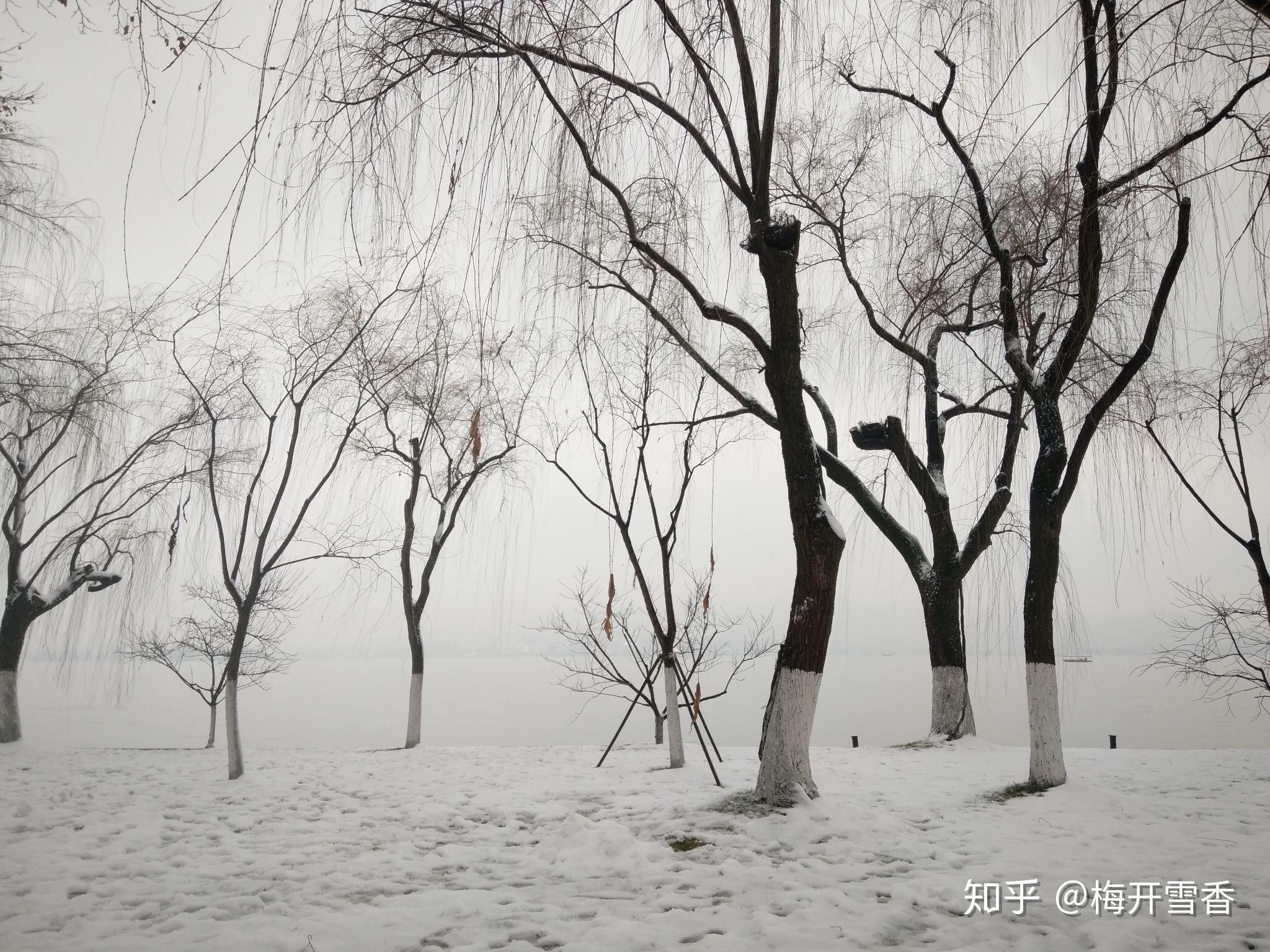 在2018的艳阳天里怀念2017的第一场大雪纷飞杭州西湖