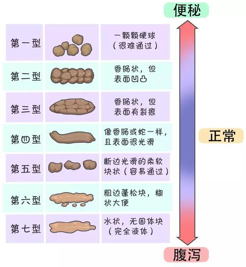 lewis)在权威杂志《北欧肠胃病学杂志》上发表了"布里斯托大便分类法"