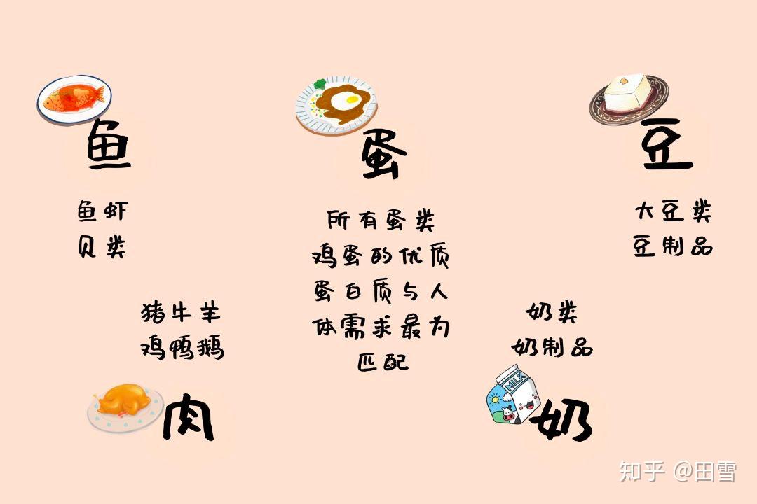 211饮食法健康又不胖需要重新认识下高蛋白食物