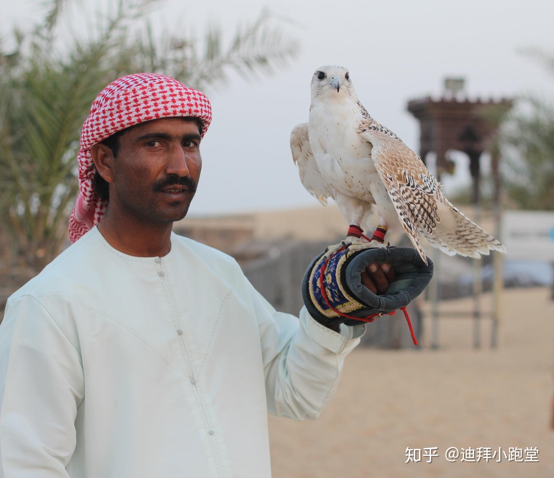 传统服装的人在迪拜emirati 库存图片. 图片 包括有 酋长管辖区, 走道, 地平线, 人员, 生活方式 - 211855589