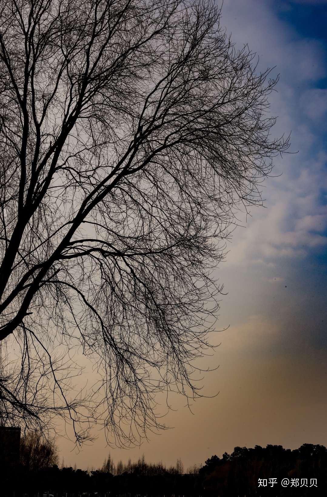 在淮南师范学院上学是怎样的体验?