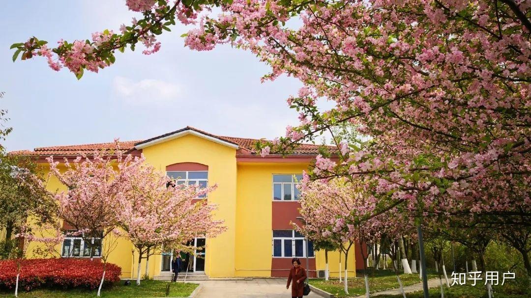 在四川外国语大学成都学院就读是一种什么样的体验