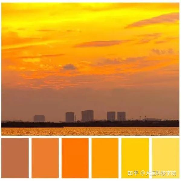 大科版限定色卡来啦