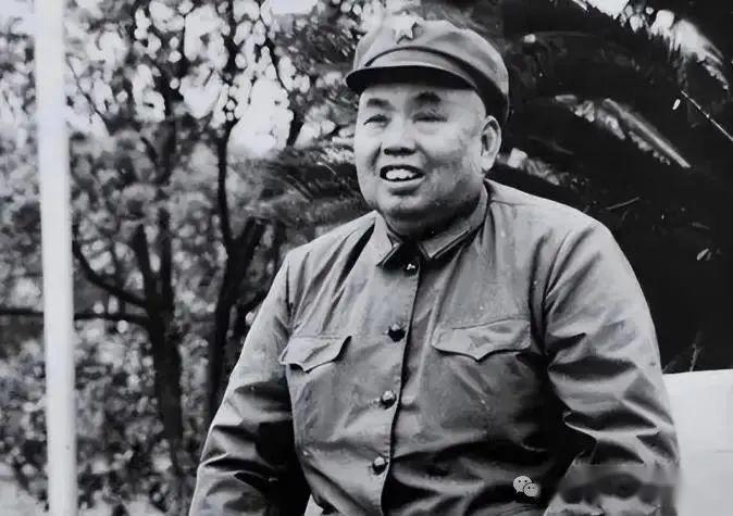 1976年杨勇拄着拐杖来广州,许世友见状大喊:在我面前装什么老? - 知乎