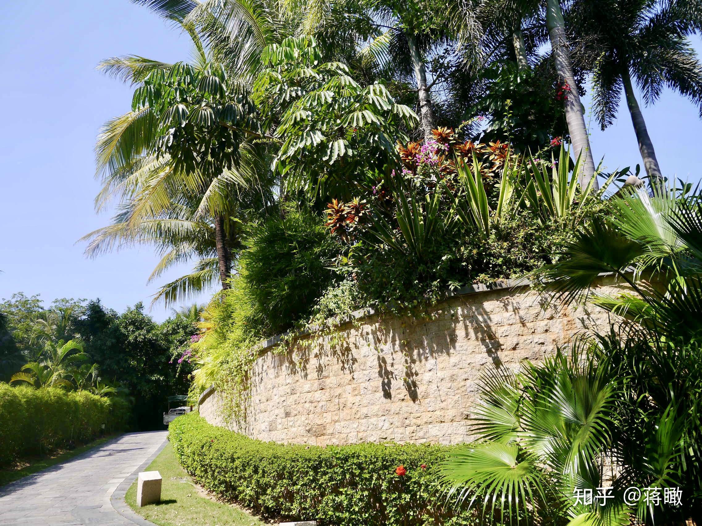 v2-3e42e220ea6a9295757d38a2c05f3c56_r.jpg