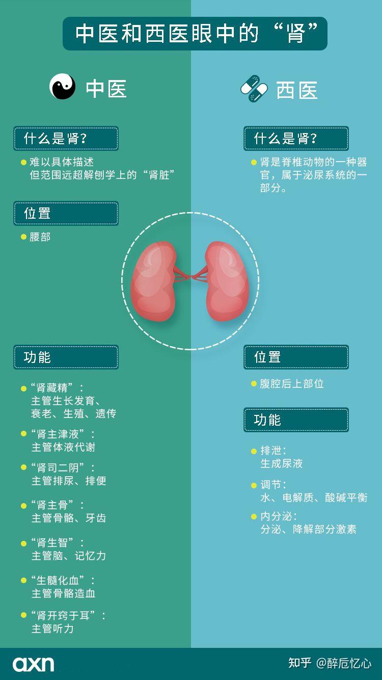 肾上腺素激增会怎么样