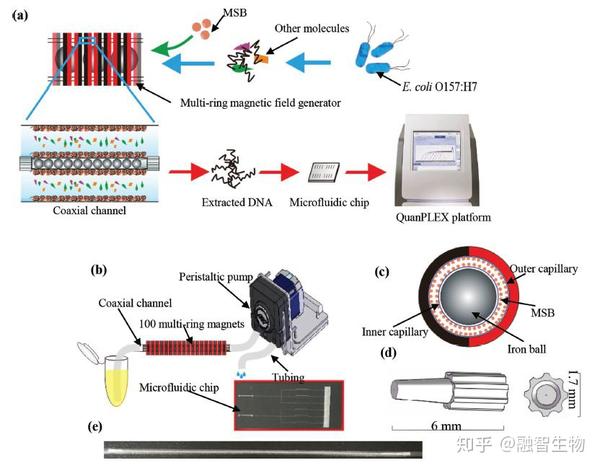 突破！新DNA提取方法结合微流控PCR 可检出12 CFU/ml致病菌 - 知乎
