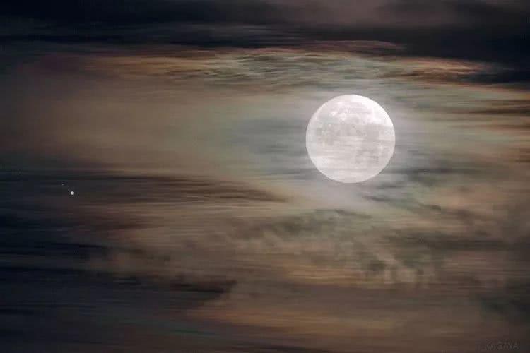 是今夜月明人尽望,不知秋思落谁家;是玉颗珊珊下月轮,殿前拾得露华新