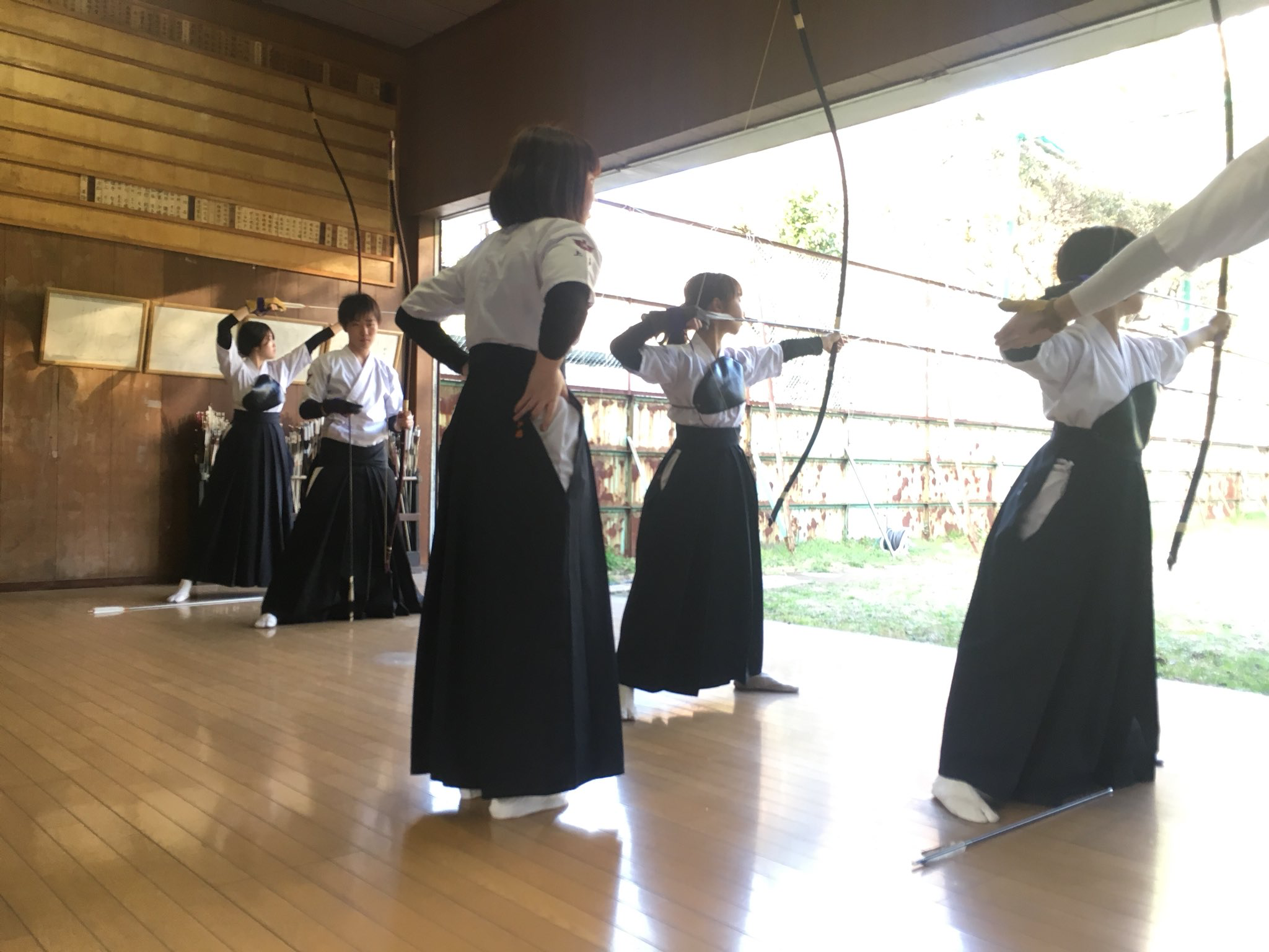 致合格上智大学的新生 知乎 致合格上智大学的新生 知乎