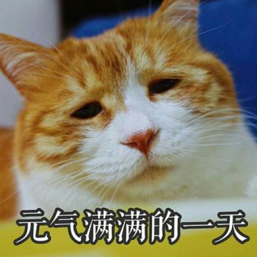 v2-3e5816cb46ba79bd67609d6b6d0d960c_r.jpg