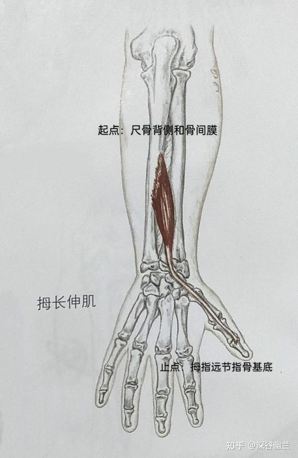 庇叉亡潮辰袱亿崩变裙丝嫩晓 - 知乎