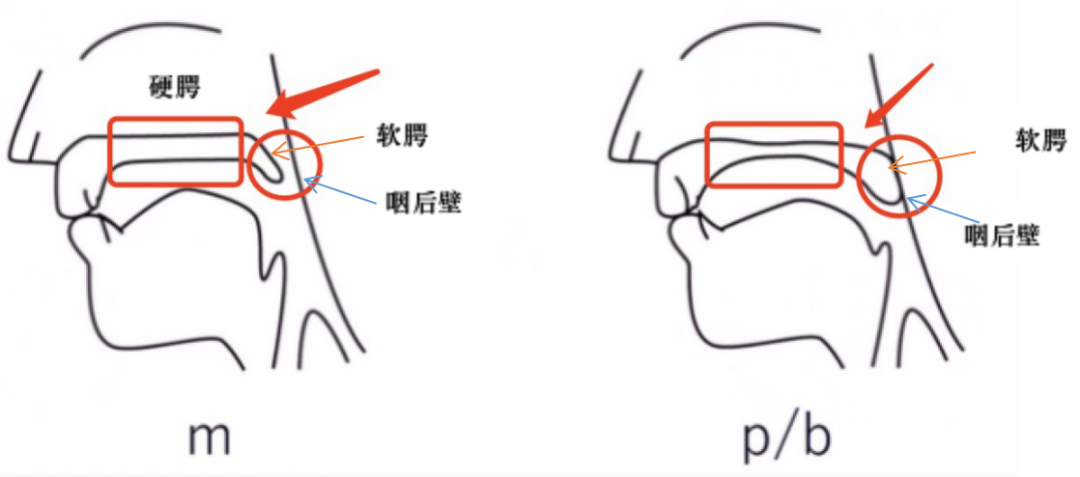 孩子发音不清楚、鼻音过重？3个居家训练方法改善｜图片示范