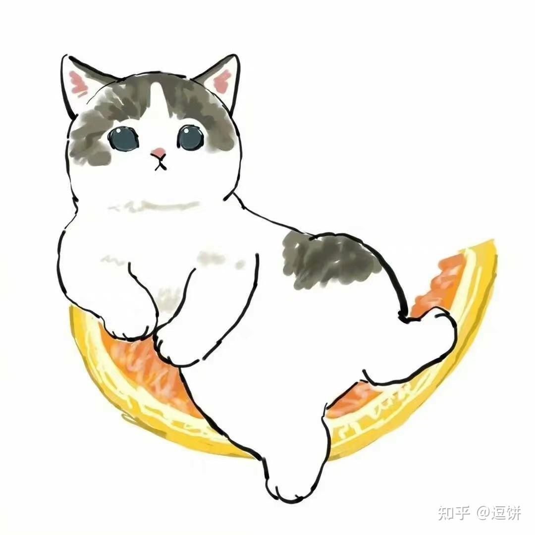 你在养布偶猫的过程中遇到了哪些治愈的事? - 知乎