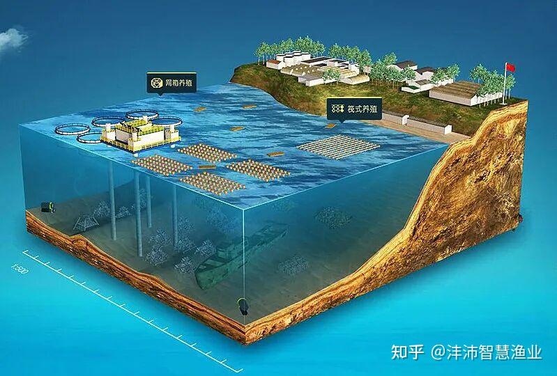 最新《渔业法》出炉,明年5月正式实施!渔业发展迎来新篇章! - 知乎