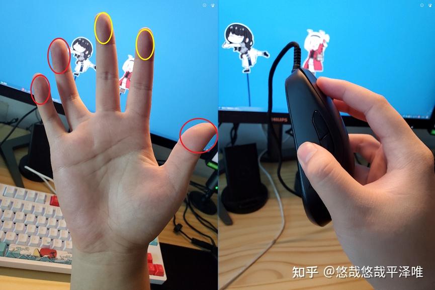 你真的了解自己的手吗?带你寻找最适合你的鼠标 - 知乎