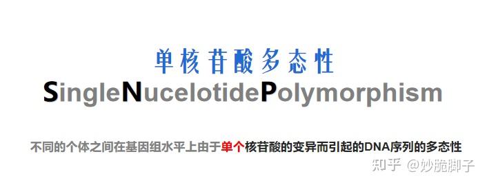 SNP到底是个啥东东？ - 知乎
